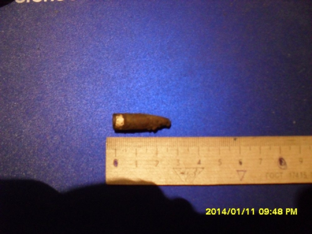 SDC11198.JPG