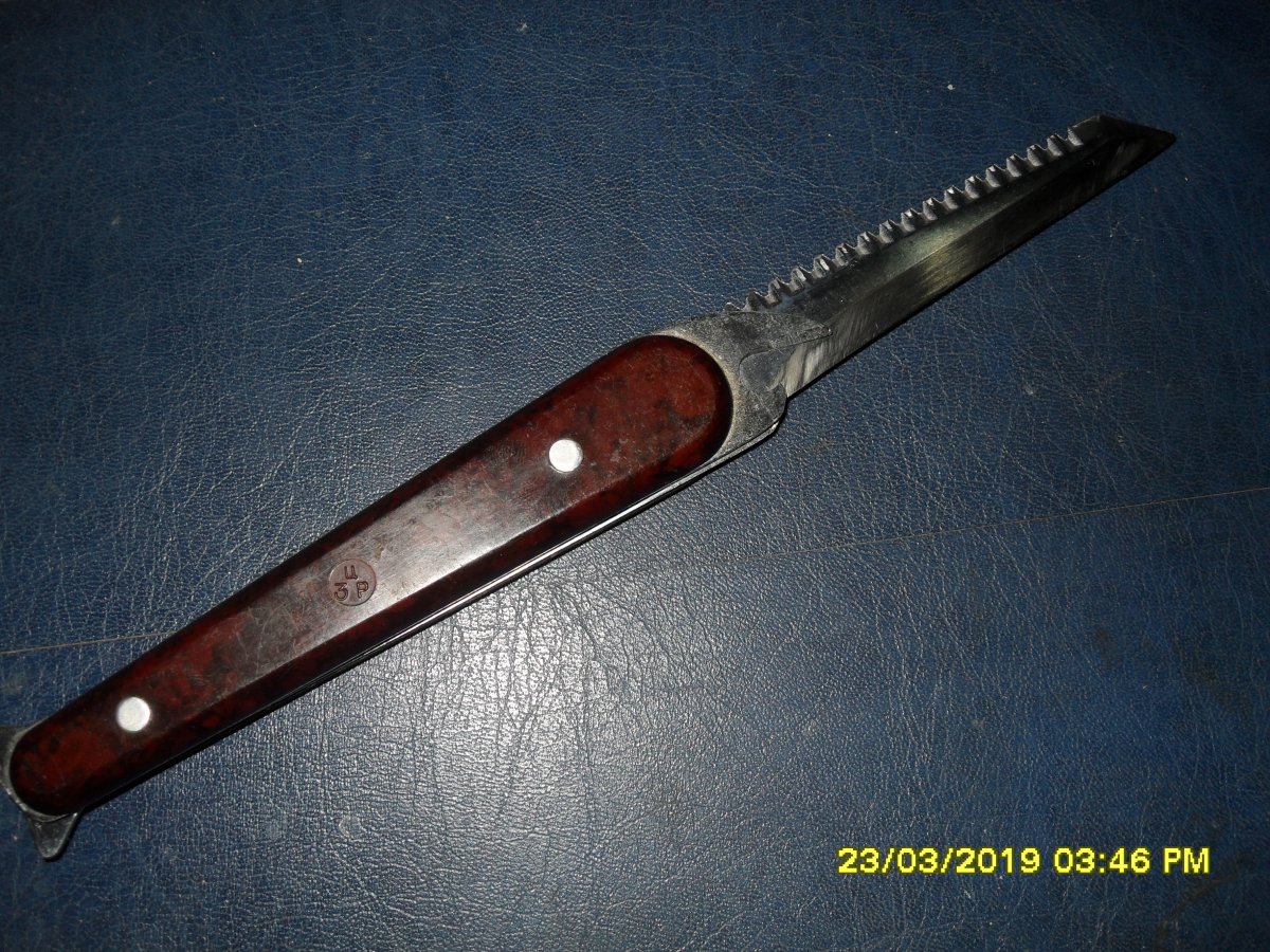 SDC11387.JPG