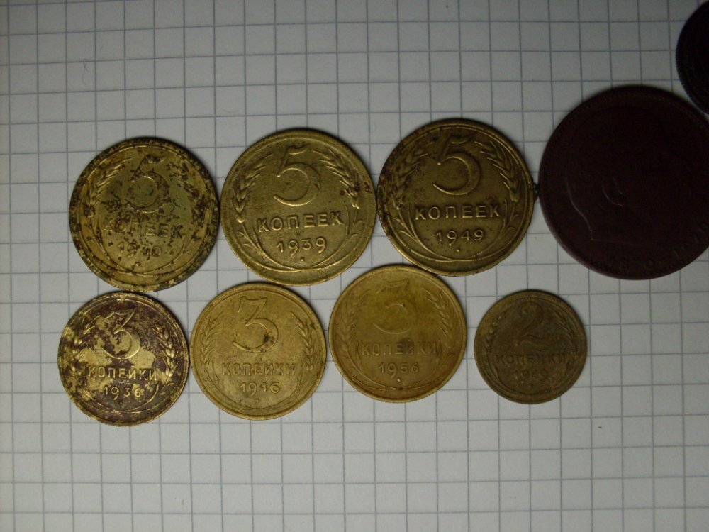 SDC11405.JPG