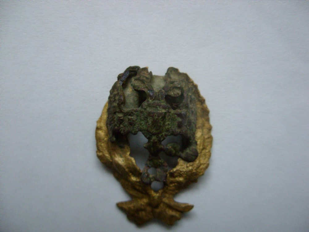 SDC11727.JPG