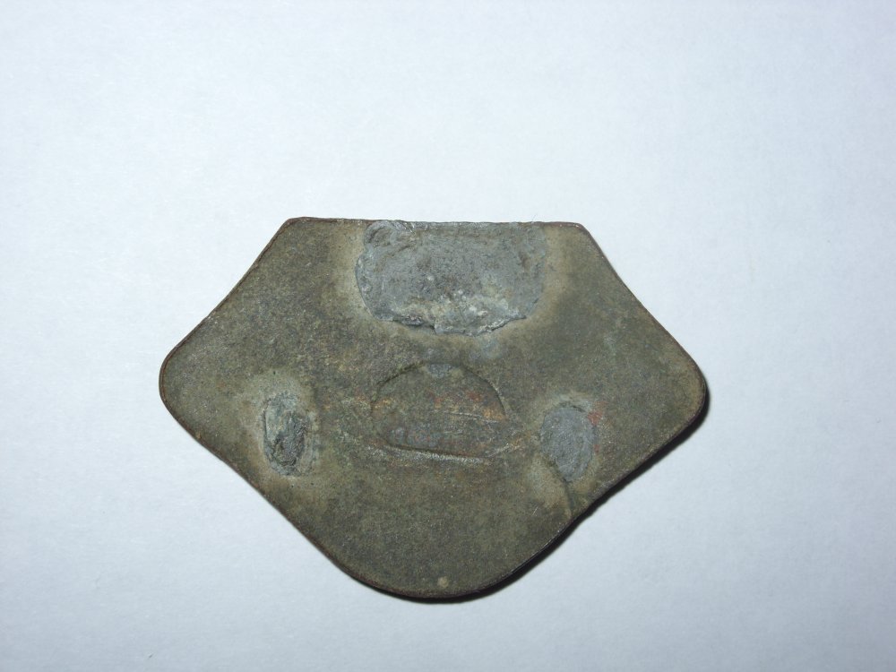 SDC11734.JPG