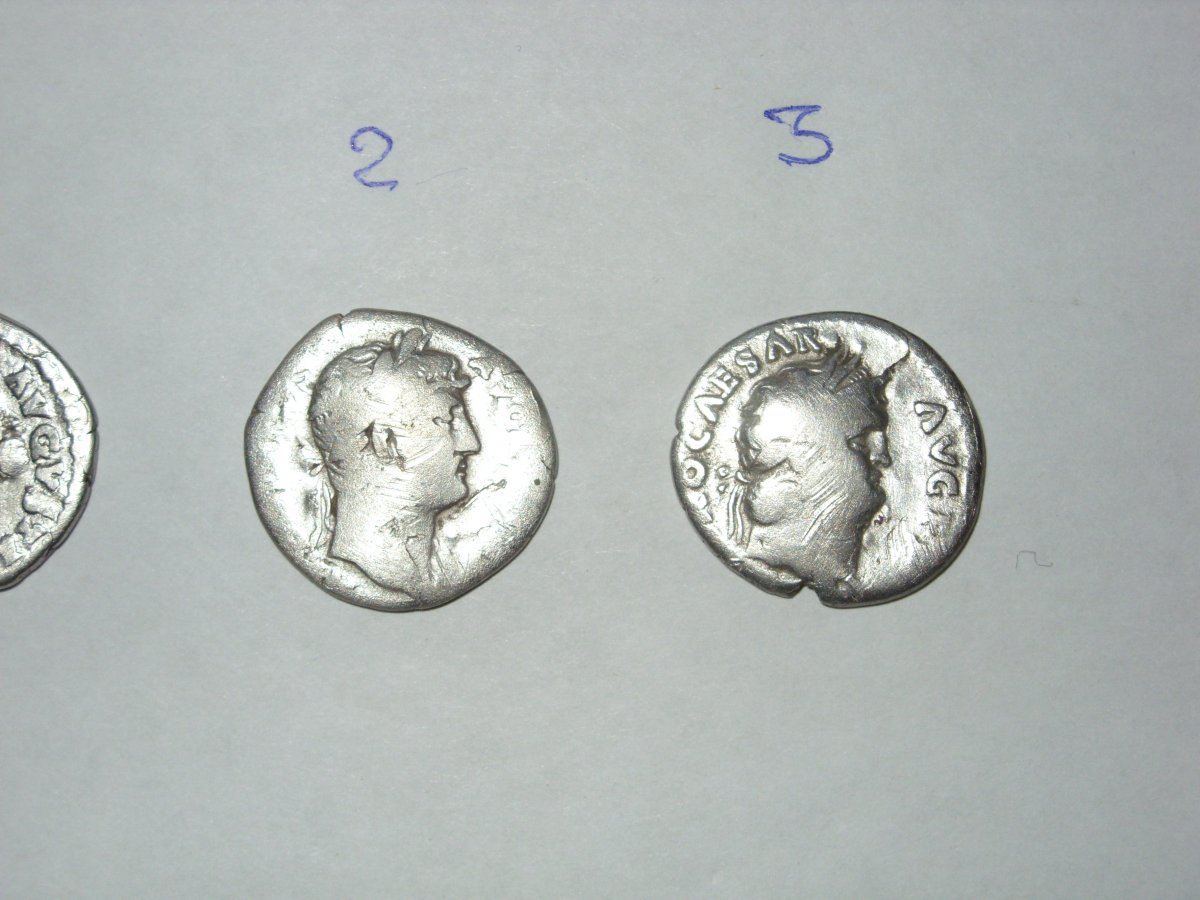 SDC12134.JPG