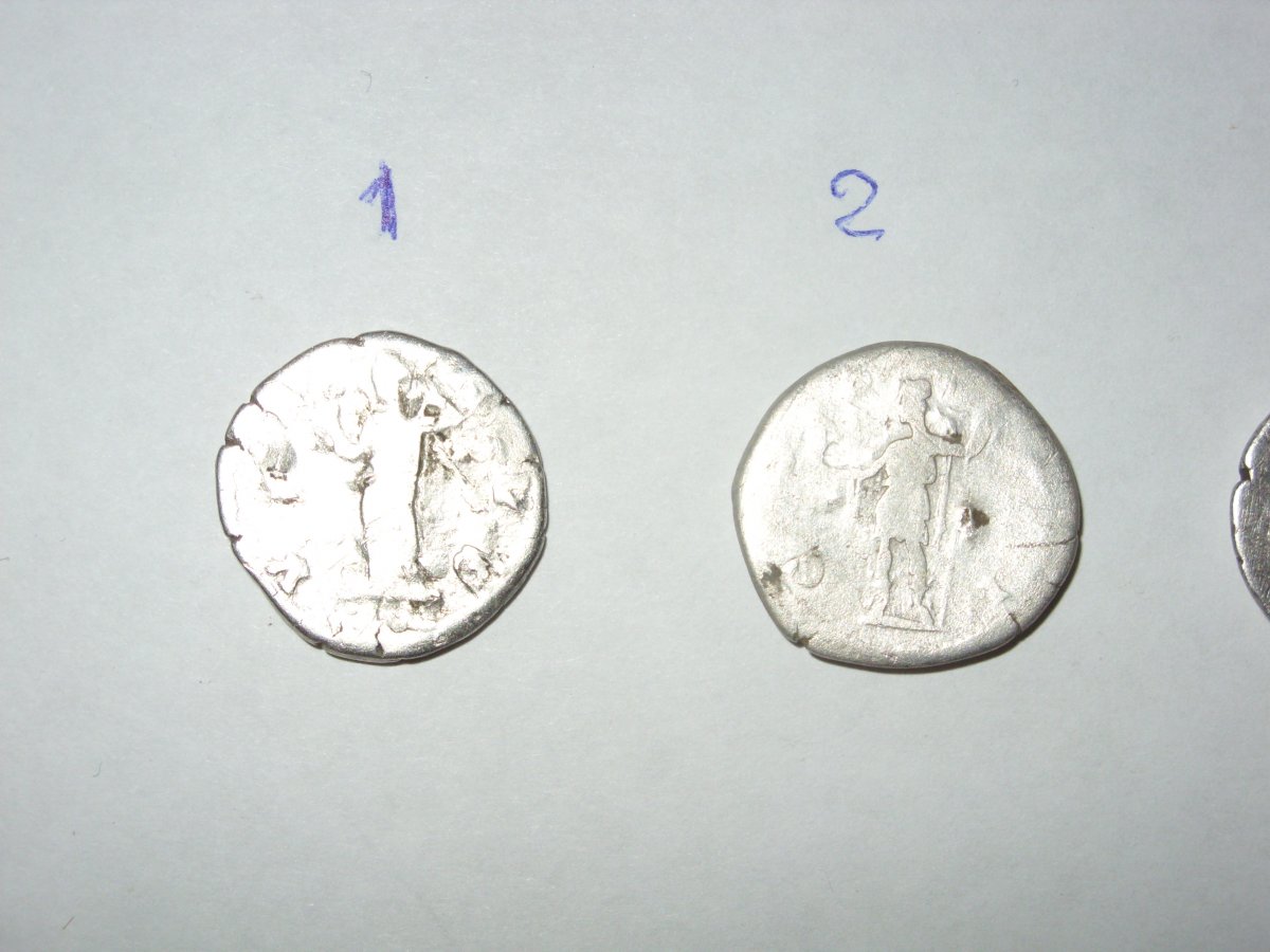 SDC12136.JPG