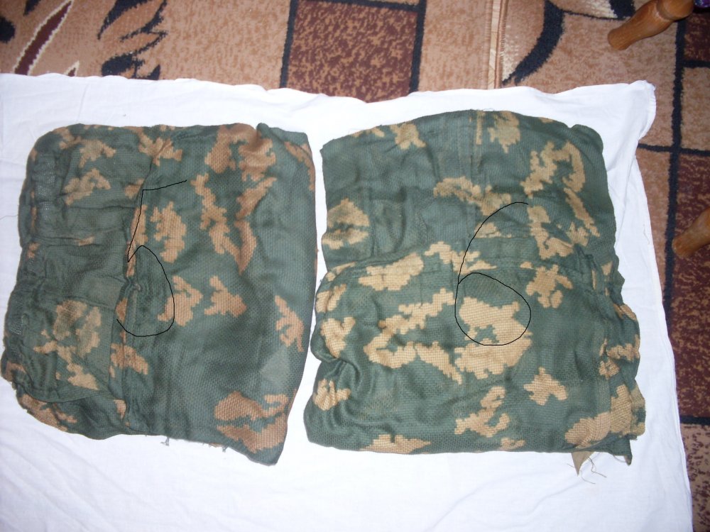 SDC12307.JPG