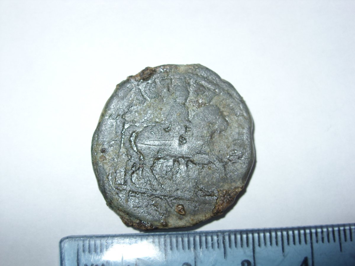 SDC12443.JPG