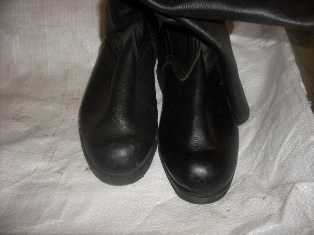 SDC12958.JPG