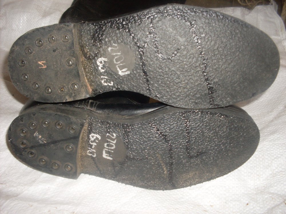 SDC12961.JPG