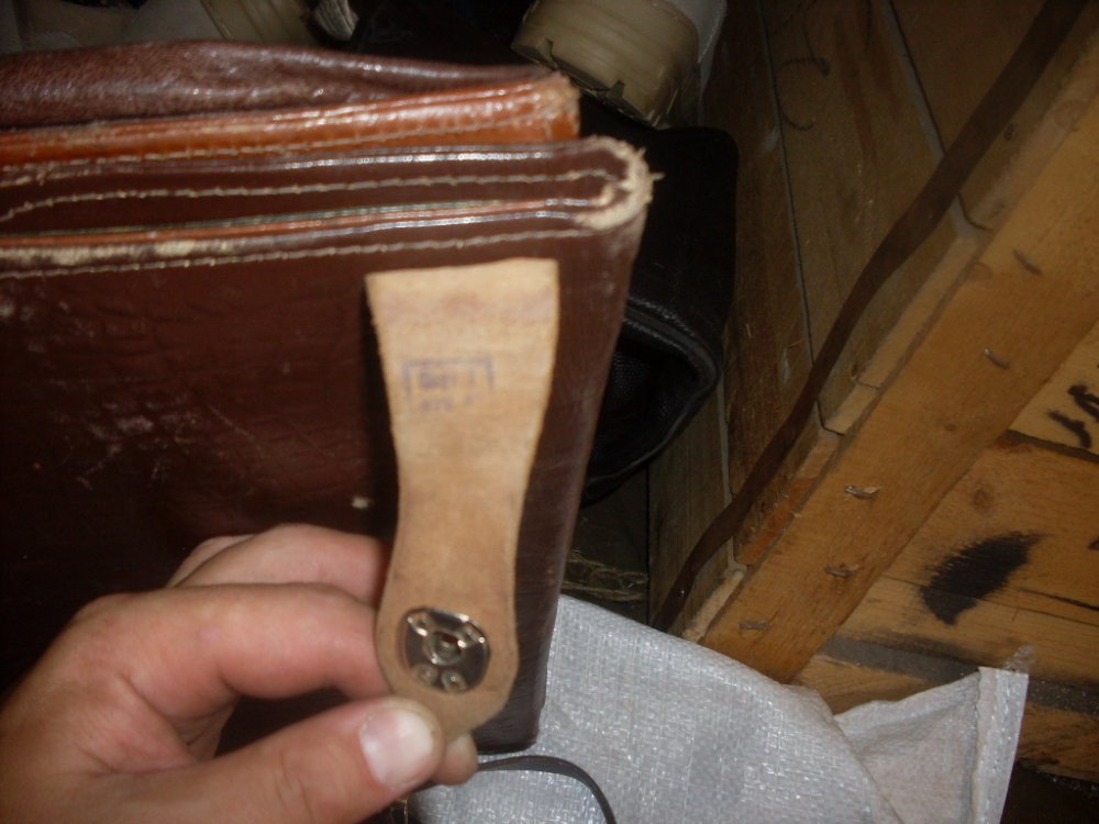 SDC12995.JPG