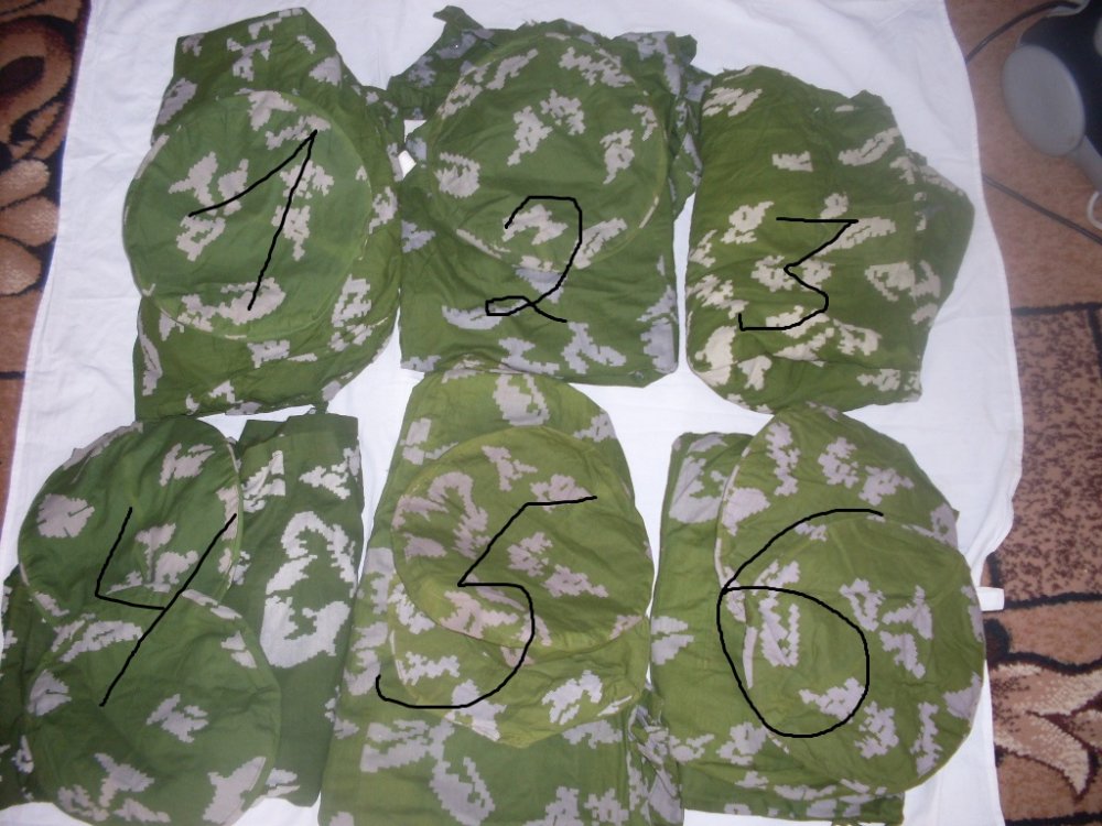 SDC13087.JPG