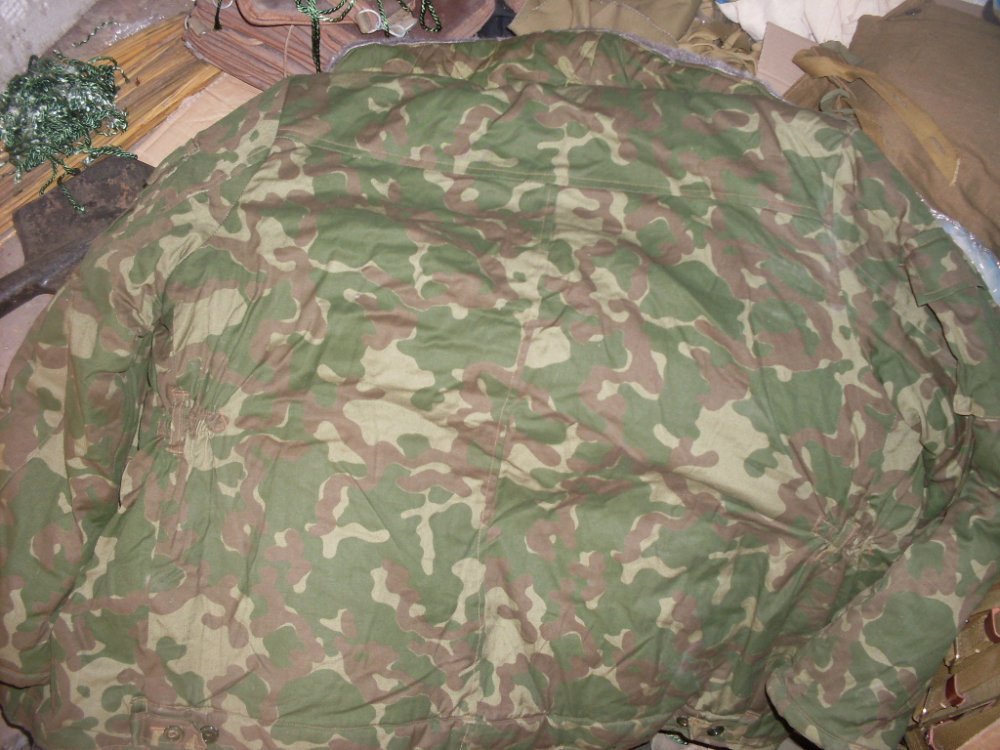 SDC13203.JPG