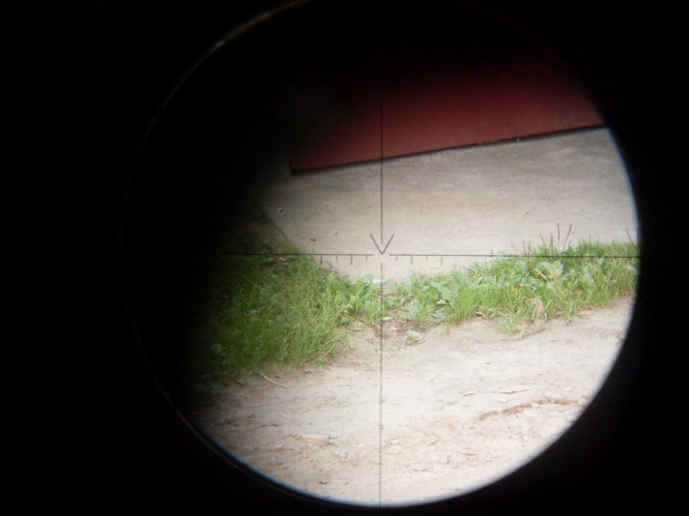 SDC13227.JPG