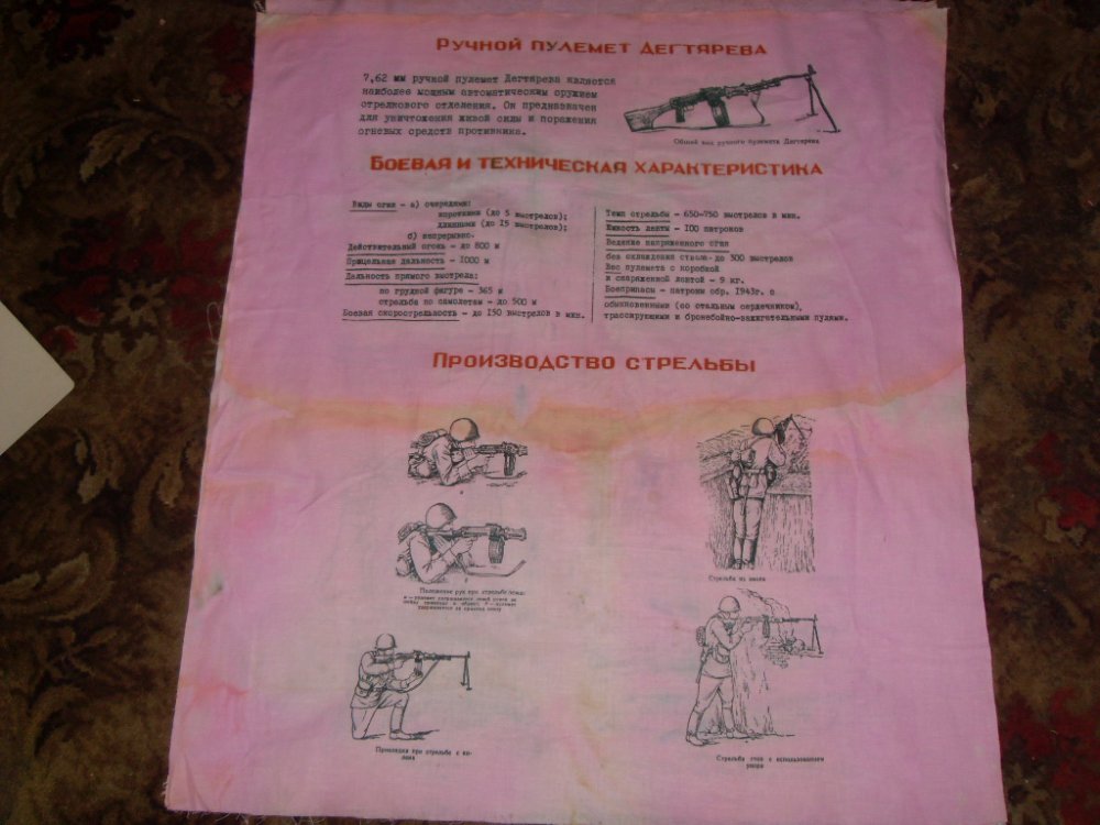 SDC14598.jpg