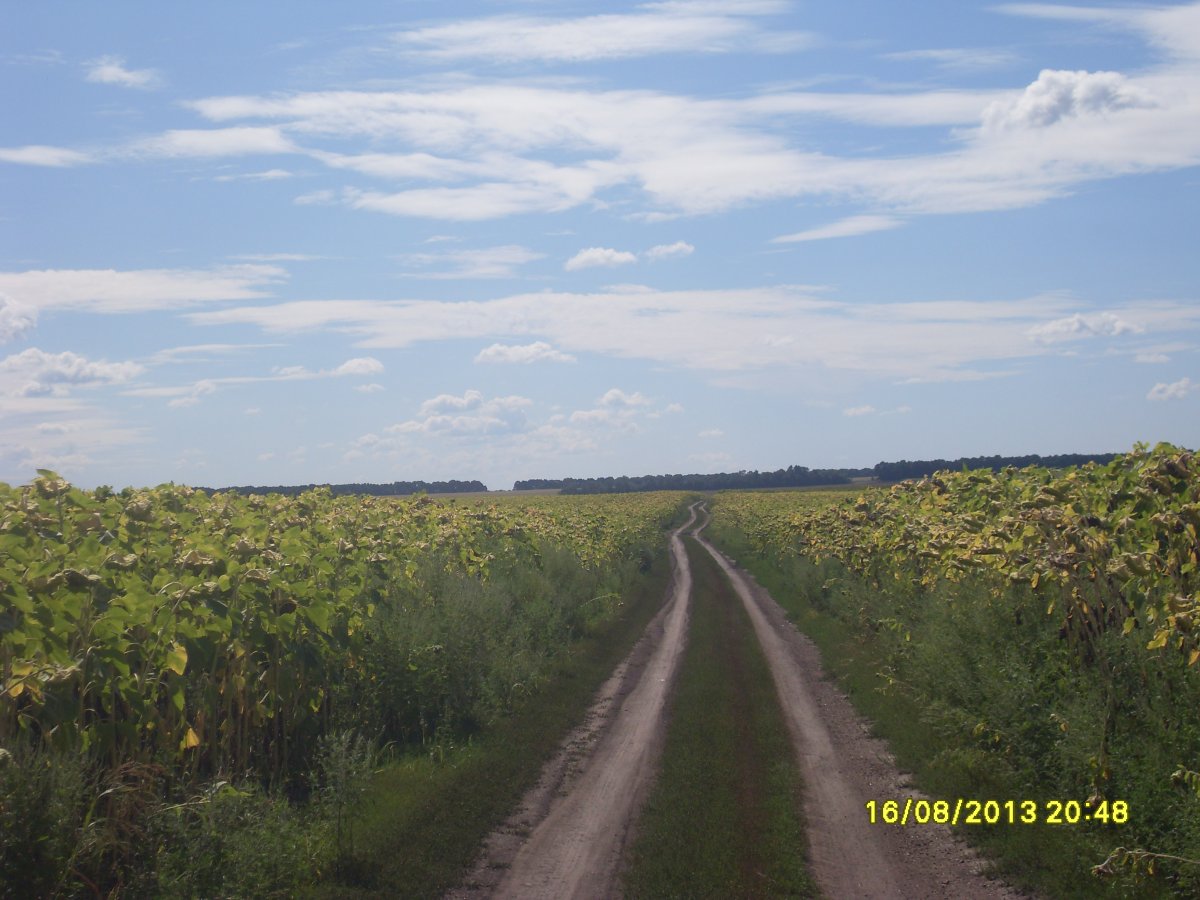 SDC15294.JPG