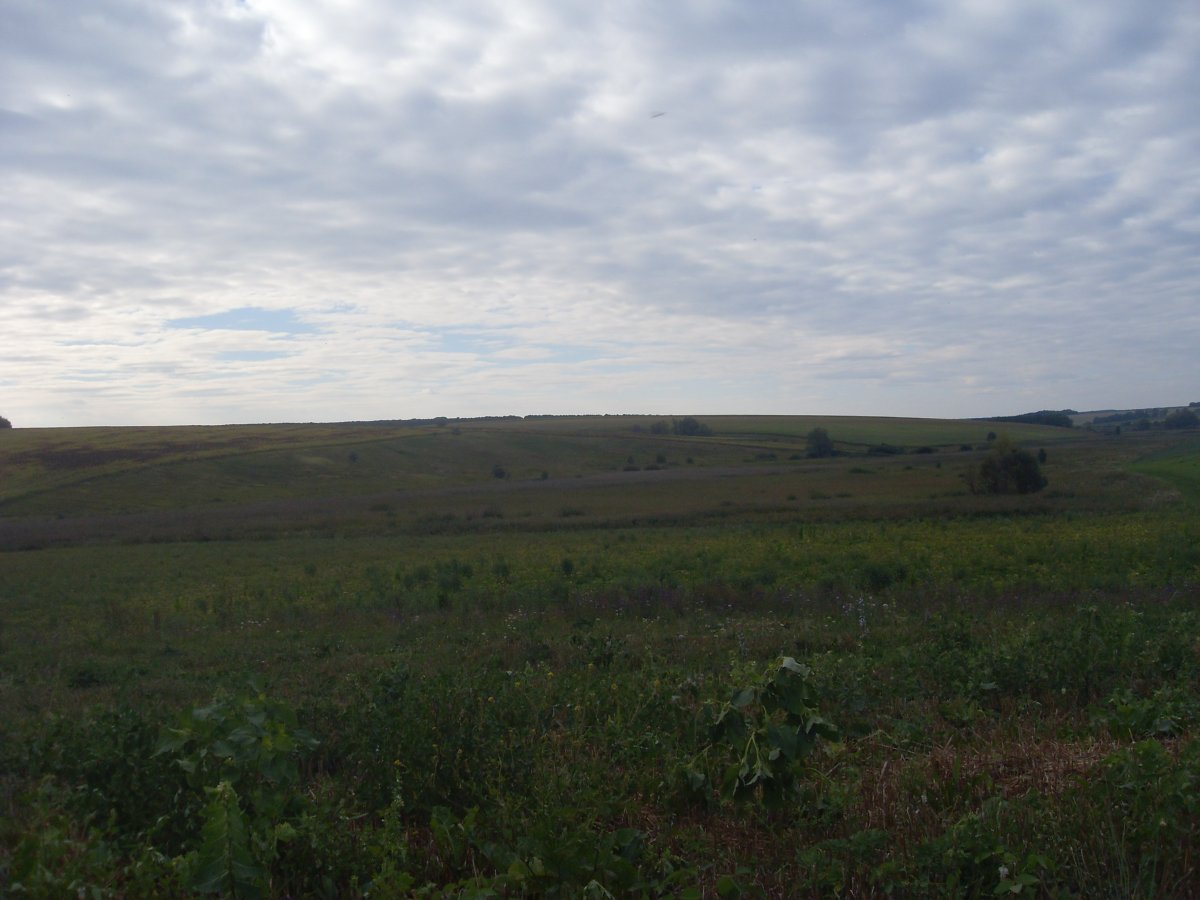 SDC15307.JPG