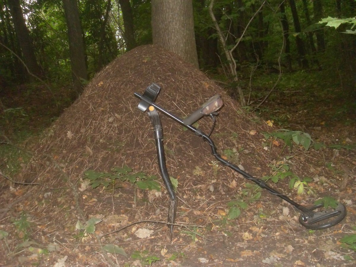 SDC15321.JPG
