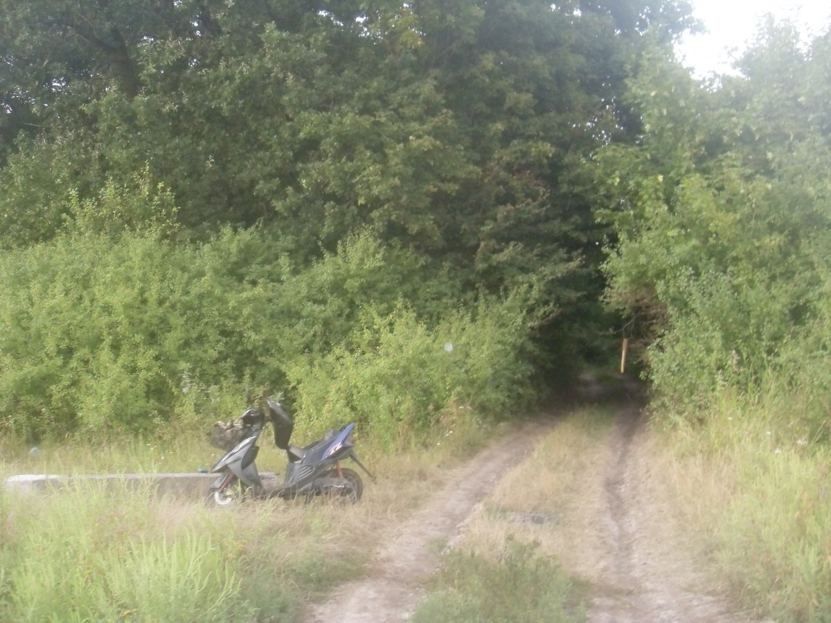 SDC15328.JPG