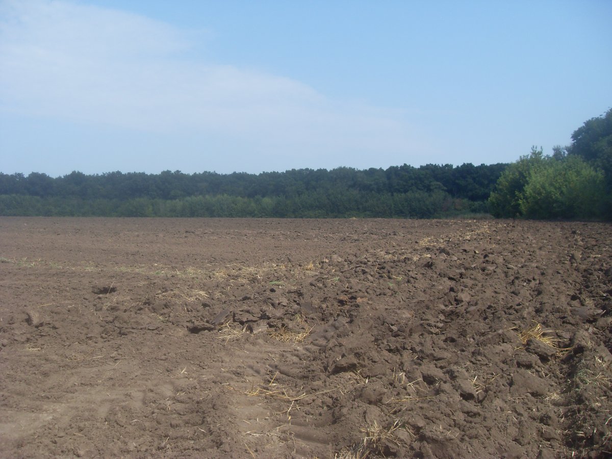 SDC15339.JPG
