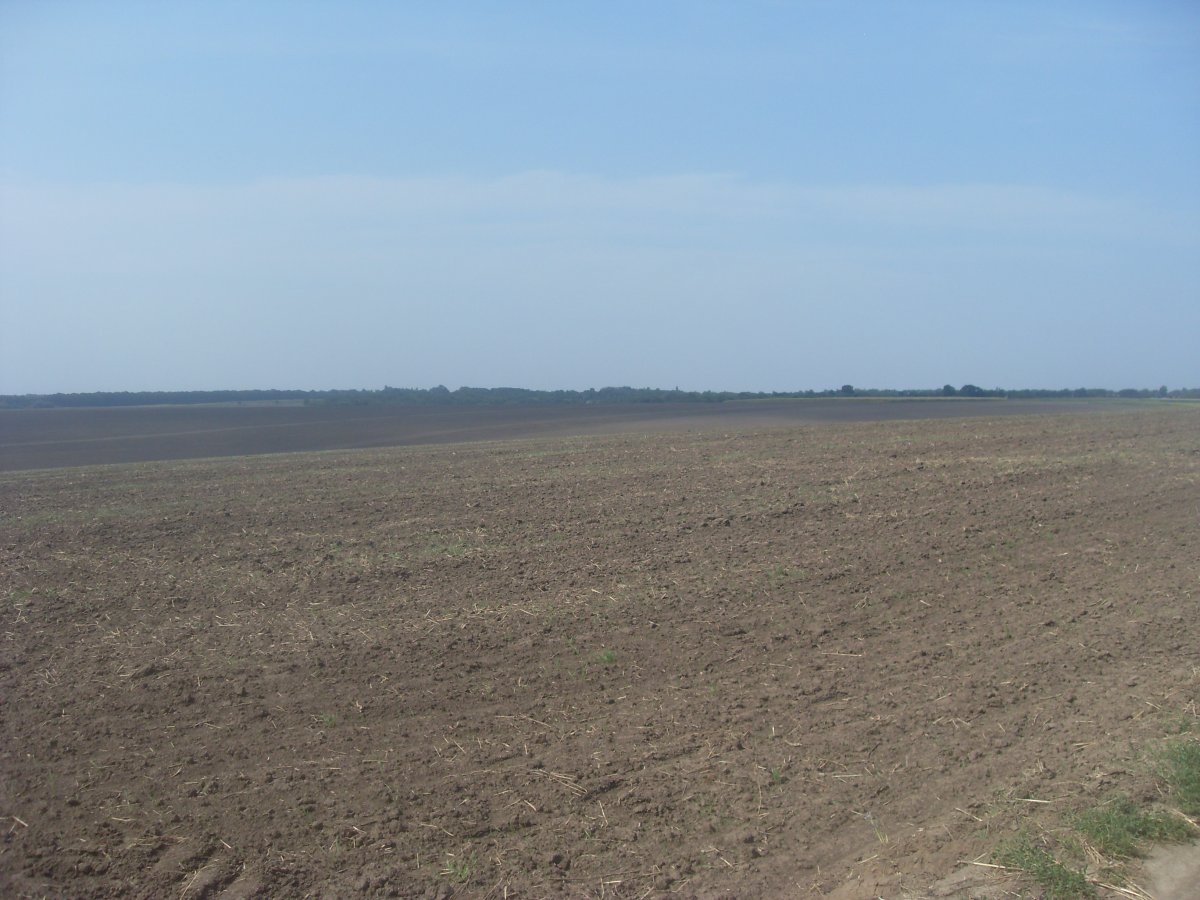 SDC15340.JPG