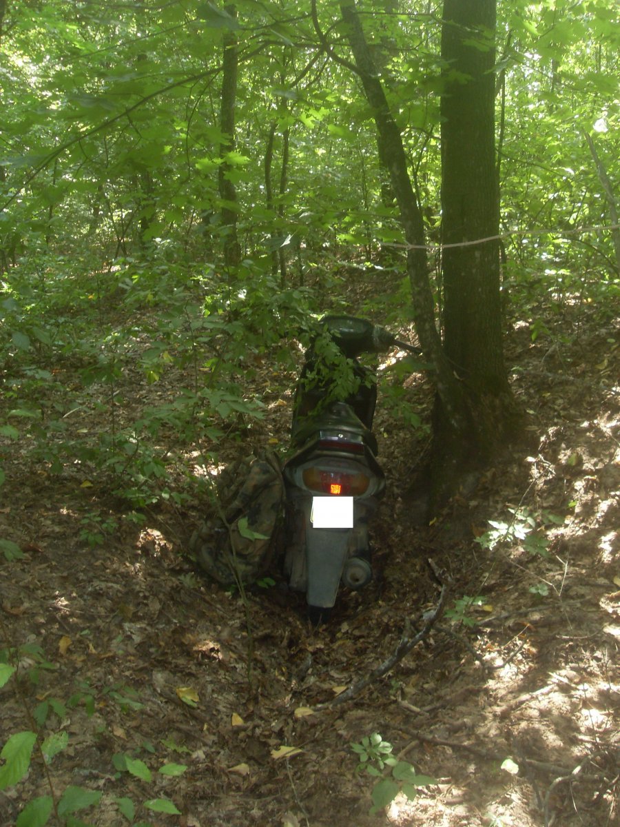 SDC15341.JPG