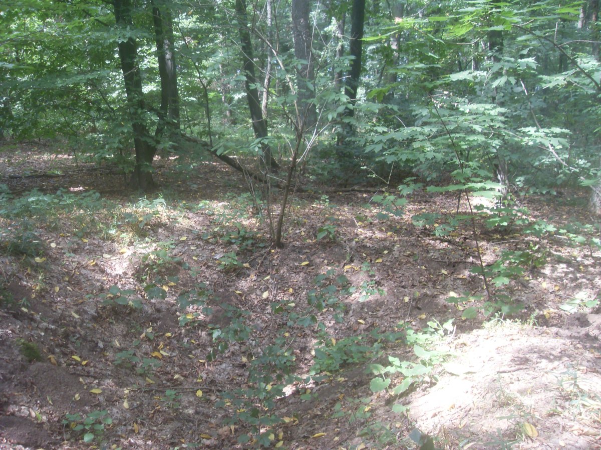 SDC15349.JPG