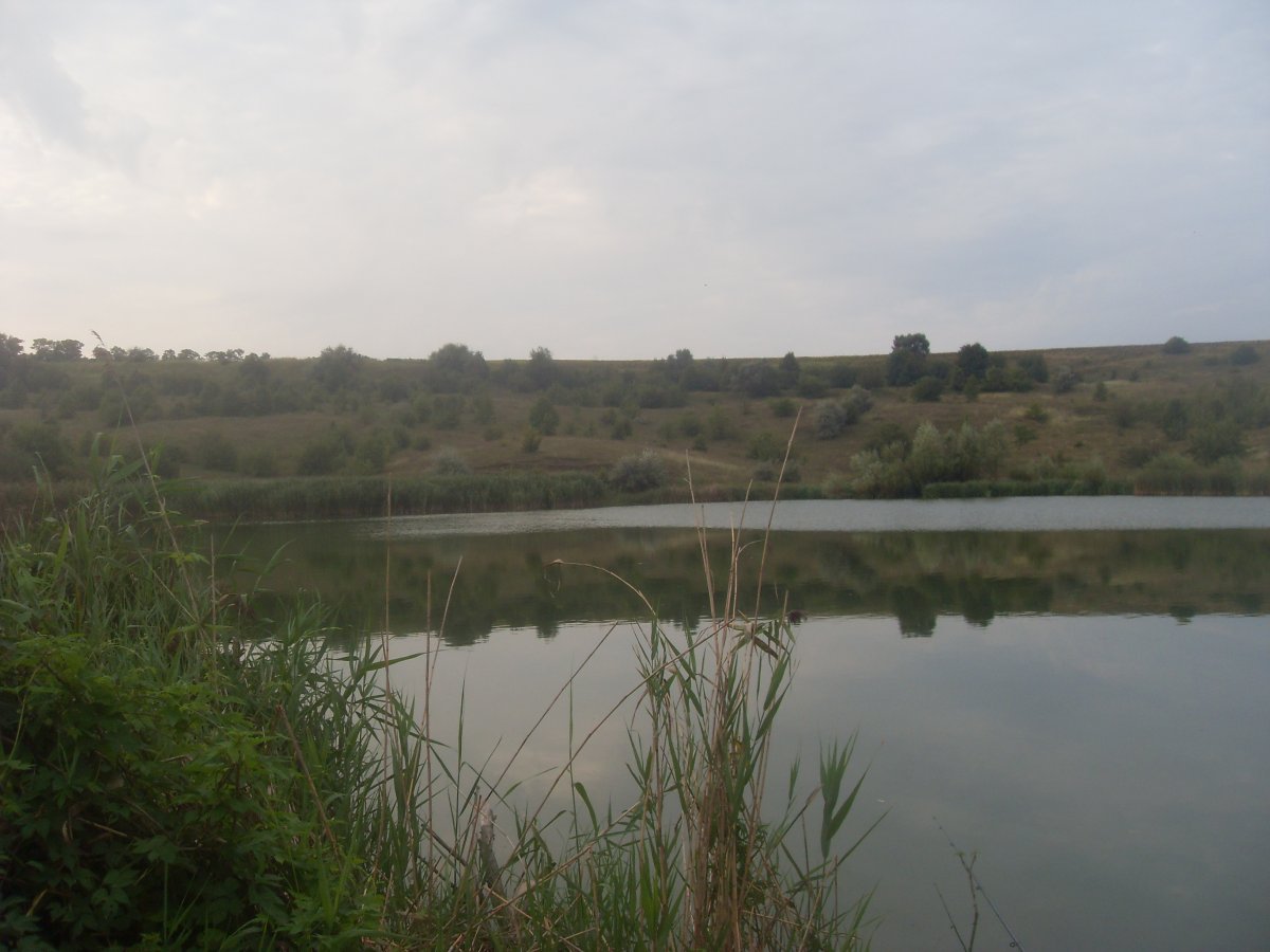 SDC15351.JPG