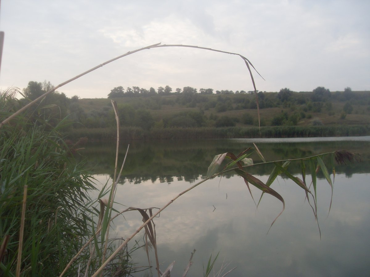 SDC15353.JPG