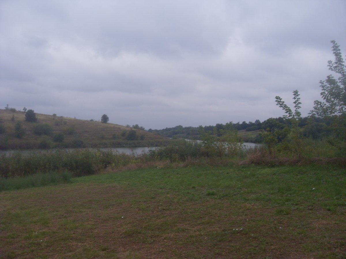 SDC15356.JPG
