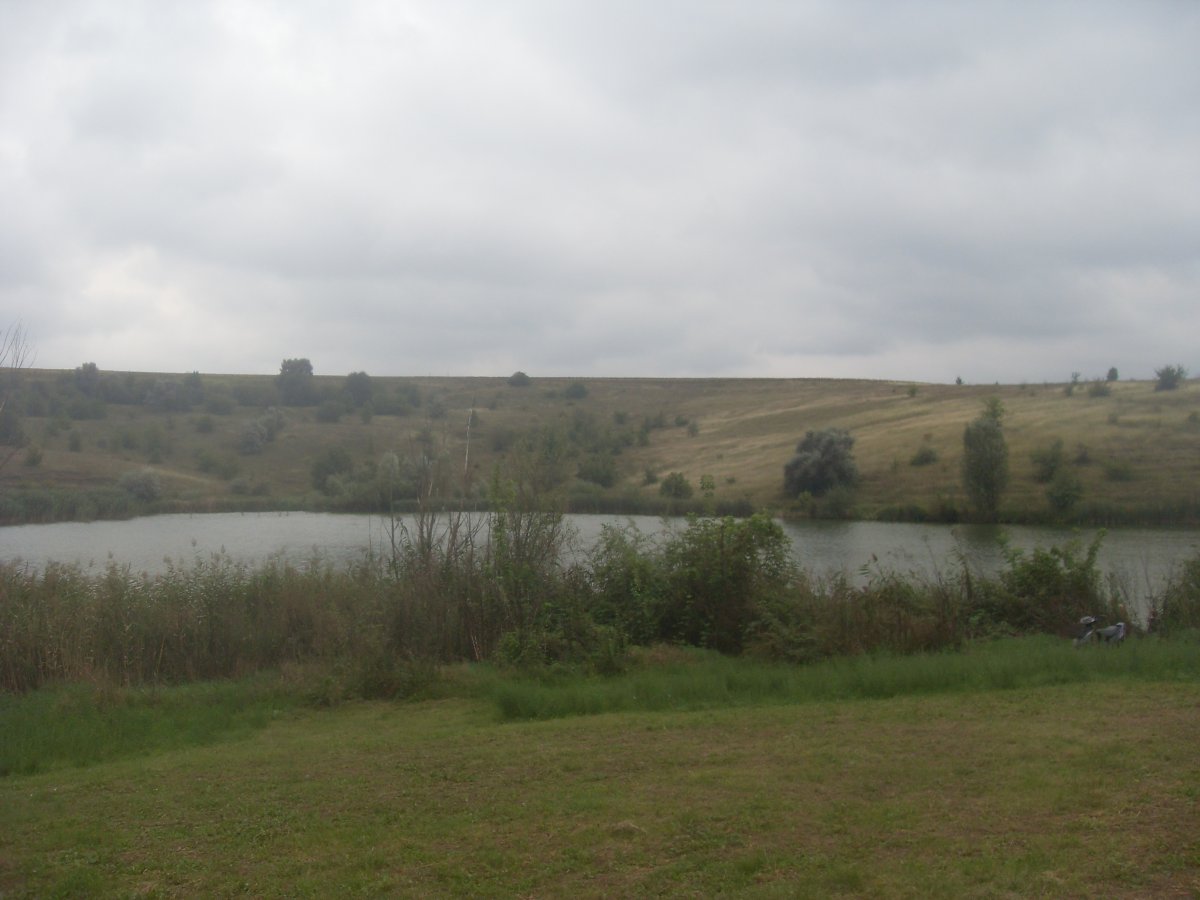 SDC15357.JPG
