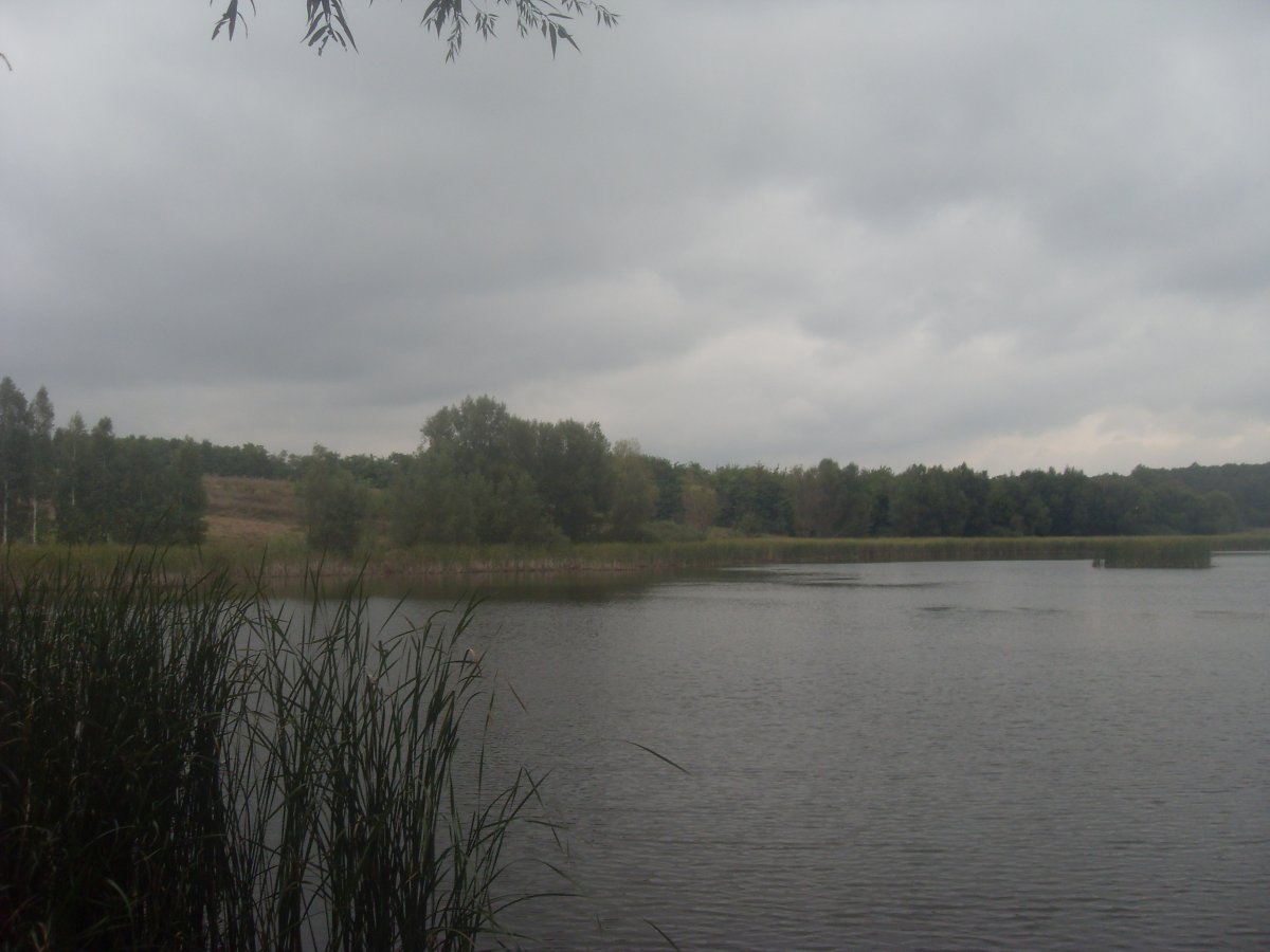 SDC15358.JPG