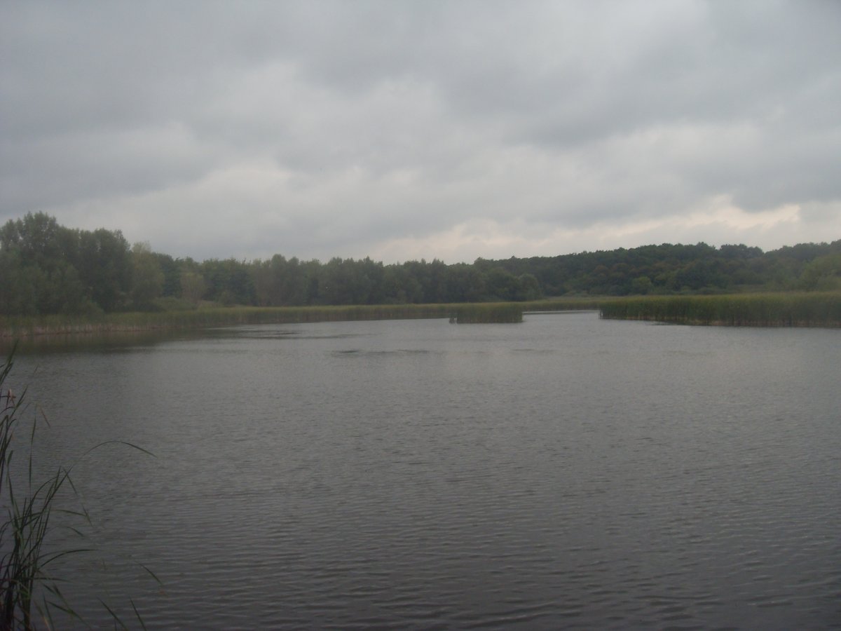 SDC15359.JPG