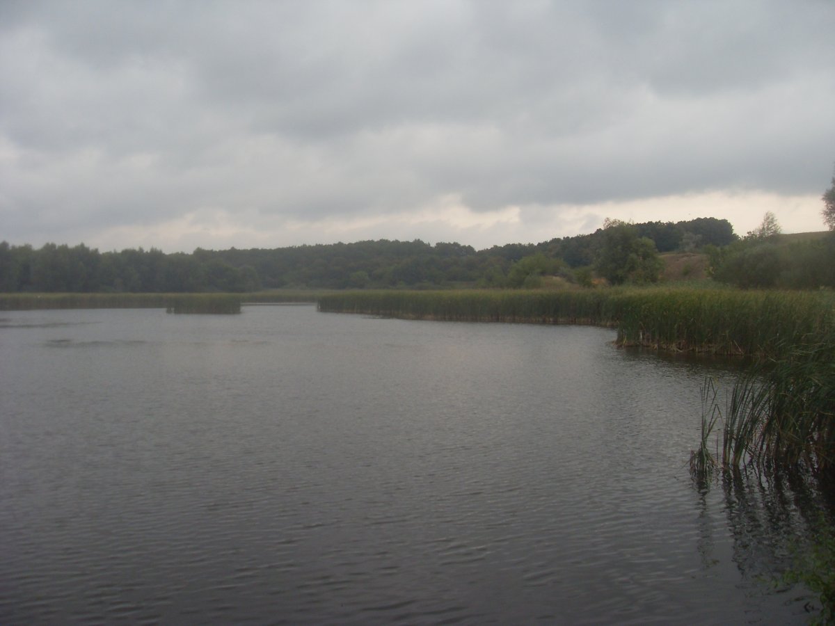 SDC15360.JPG