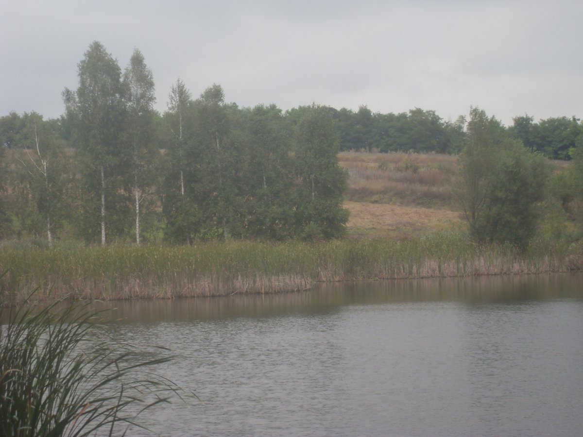 SDC15362.JPG
