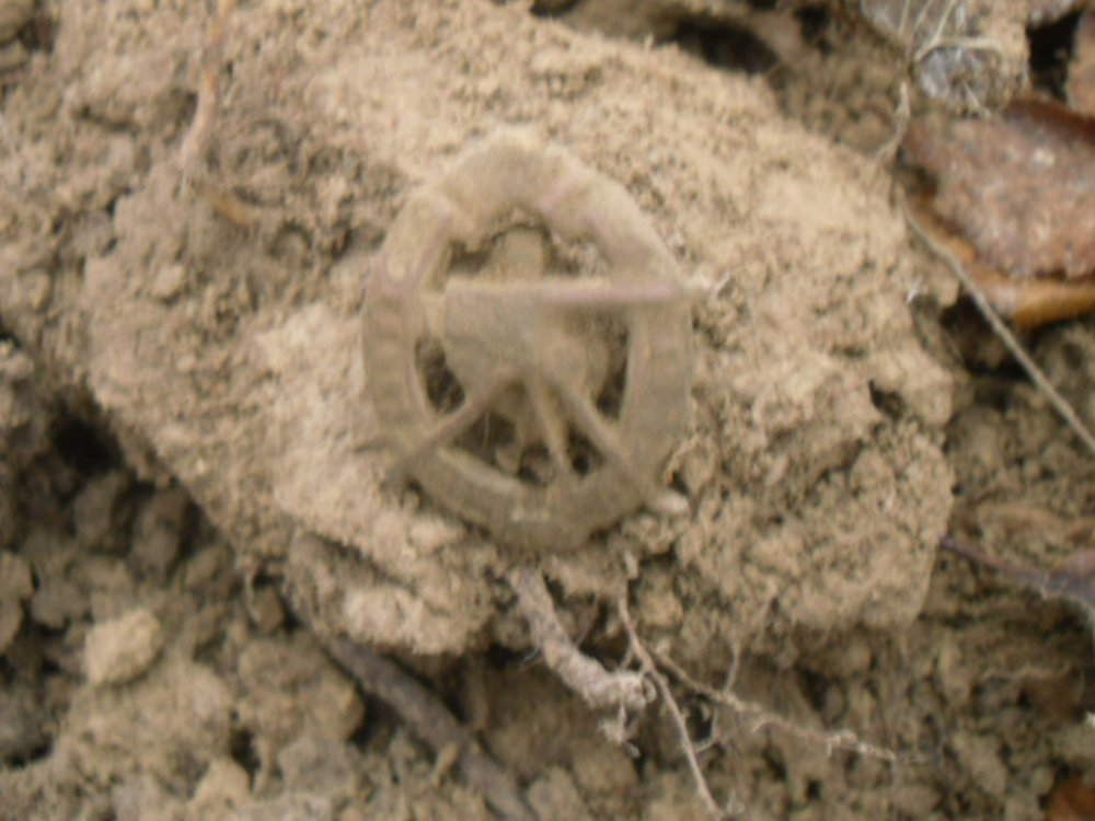 SDC17015.JPG