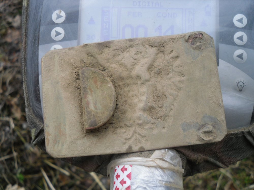 SDC17095.JPG