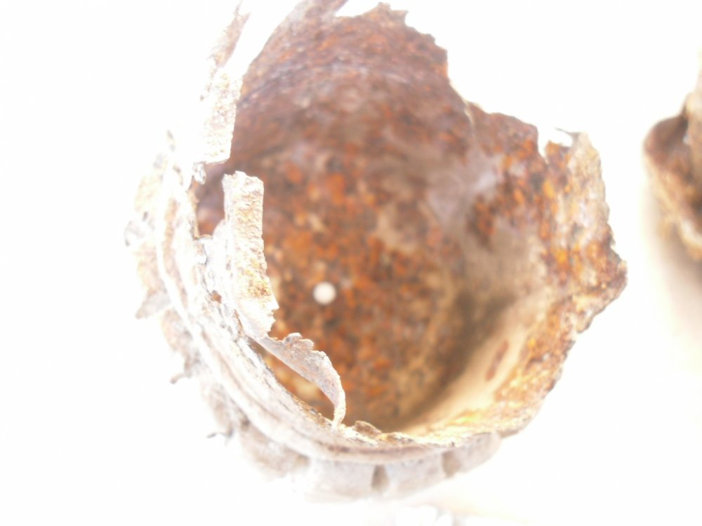 SDC17624.JPG