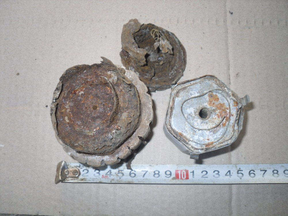 SDC17626.JPG