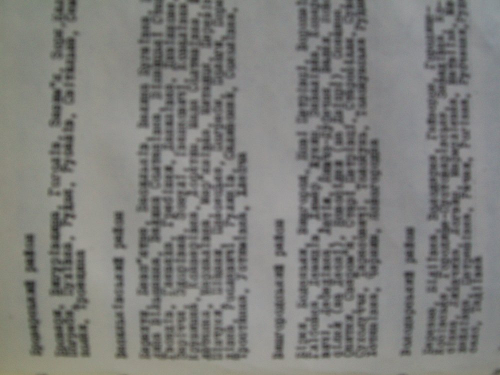 Шендрик (3).JPG