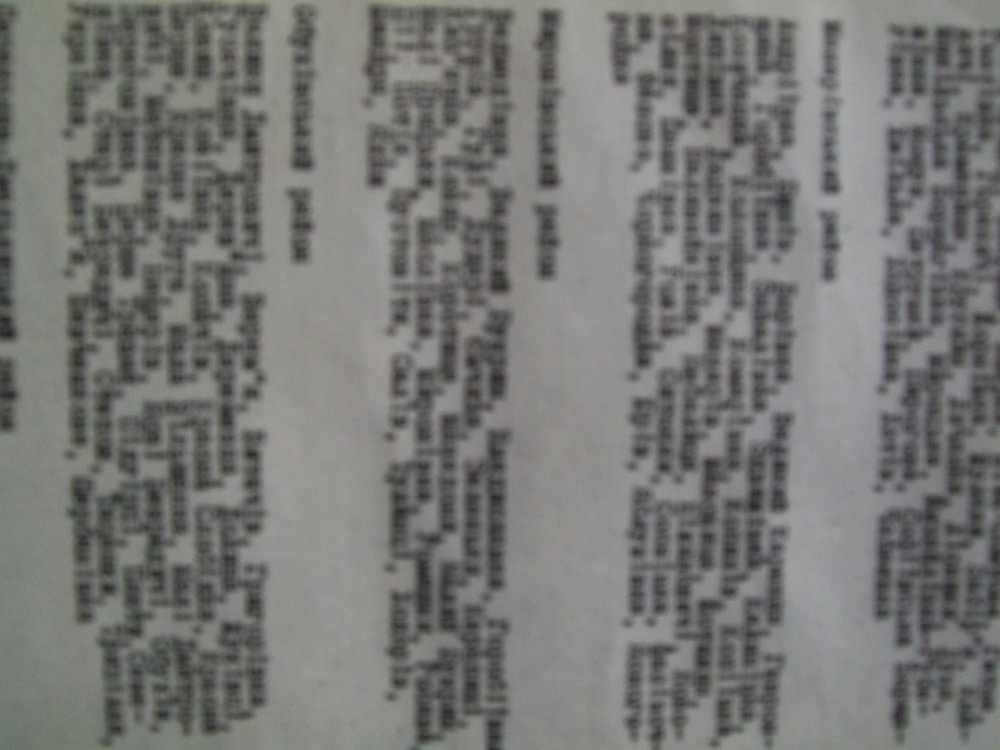 Шендрик (4).JPG