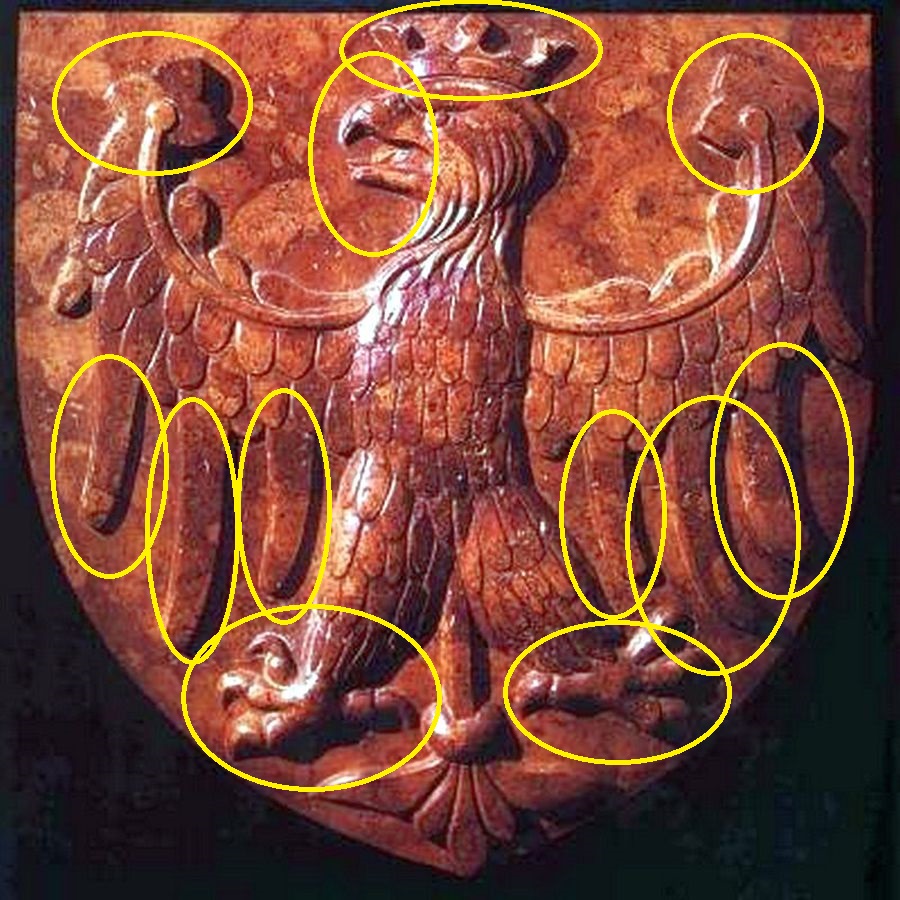 shield_jagello.jpg