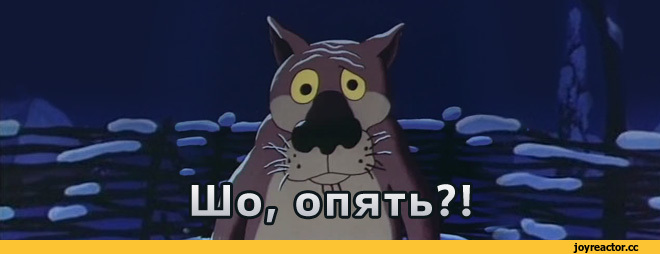 шо1.jpeg