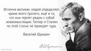 шук.jpg