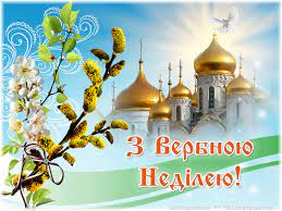 скачанные файлы (3).jpg