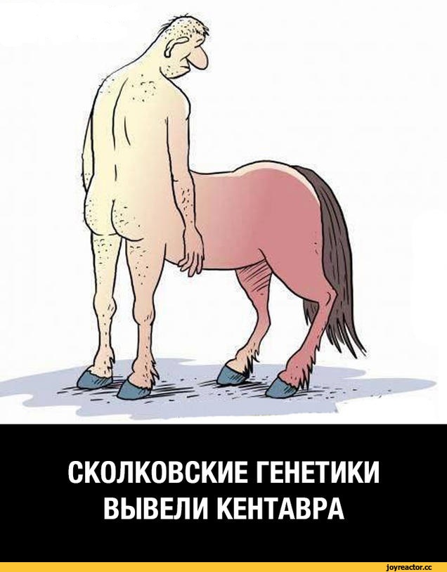 ско.jpeg