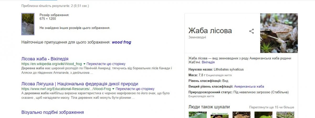 скр.jpg