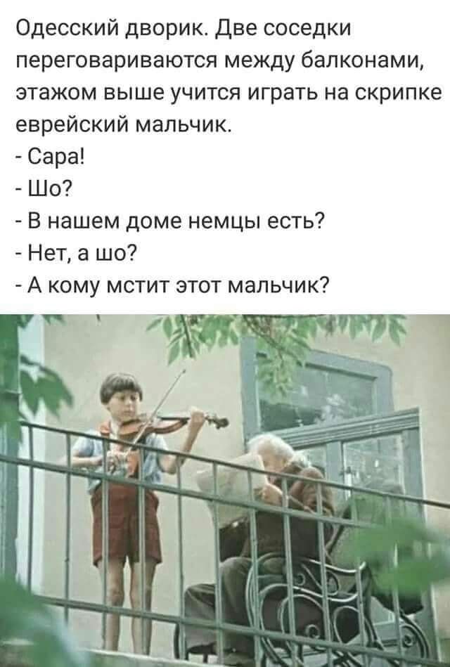 скрипач.jpg