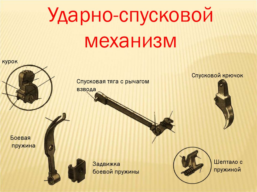 slide-8.jpg