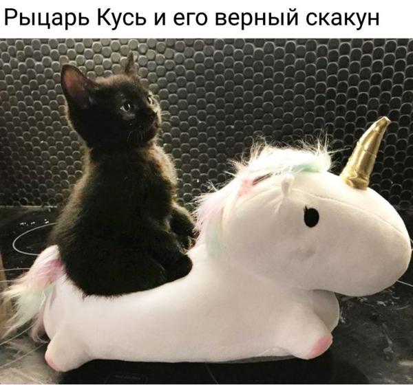 smeshnie_kartinki_153359995972.jpg
