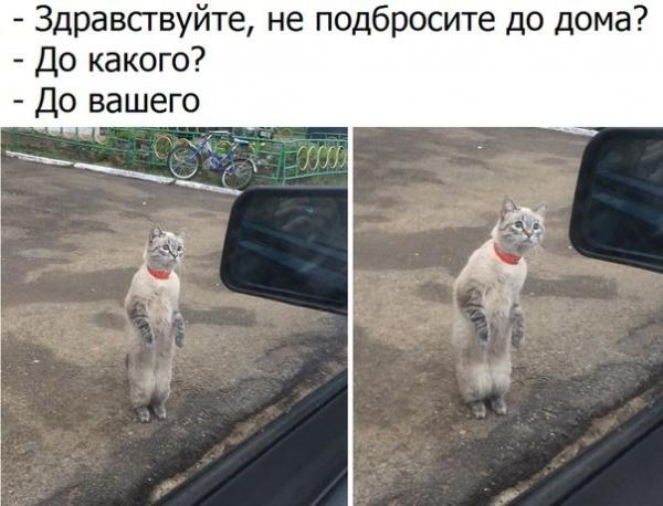 smeshnie_kartinki_154499447282.jpg