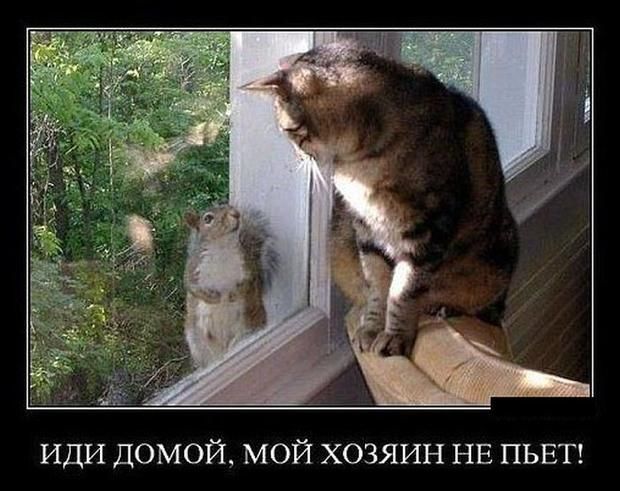 Смешные демотиваторы пятницы_ А вы готовы к уикенду.jpeg