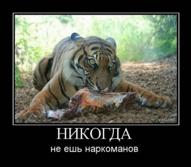 Smeshnye-kartinki-s-nadpisyami-pro-zhivotnyh-1-640x560.jpg